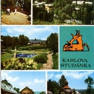 F 12500 - Karlova Studánka