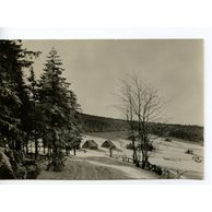 E 12175 - Krkonoše